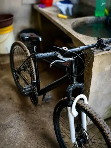 Bicicleta
