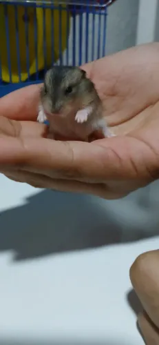 Doação 