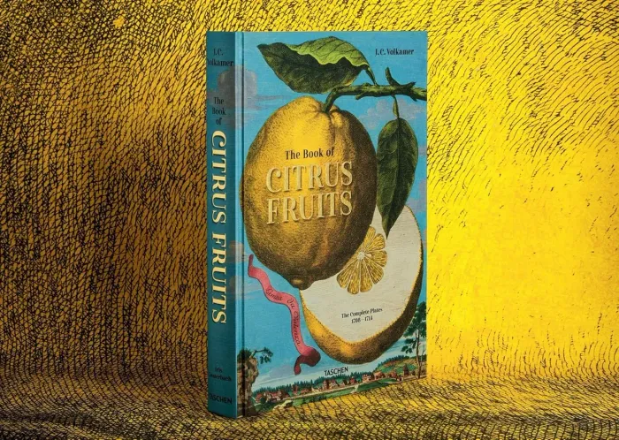 Artbook J. C. Volkamer the book of citrus fruits: the complete plates