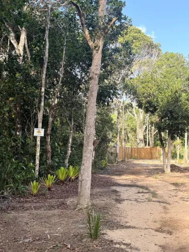 Terreno / Bairro Pedra Azul / Arraial d`Ajuda