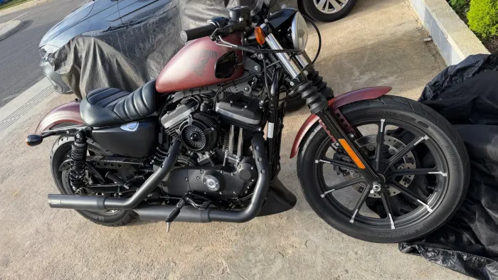 HARLEY DAVIDSON IRON 883