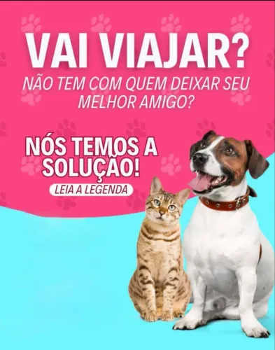     Cuidadora de Animais | Atendimento em Casa e Domicílio