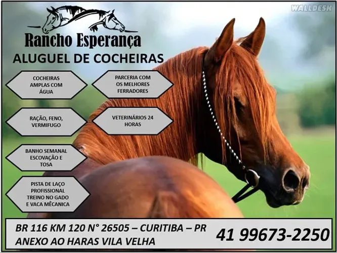 Aluguel de cocheiras/ baías 