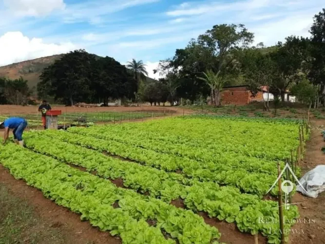 Paraíba do Sul - Sítio com 7.5 alqueires 