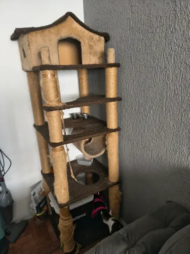 Arranhador para gatos