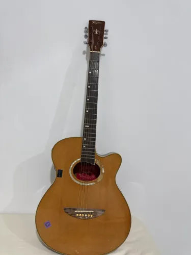 Violão Tagima