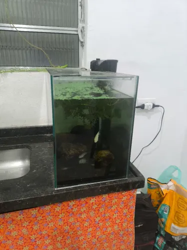 AQUÁRIO 50 LITROS COMPLETO