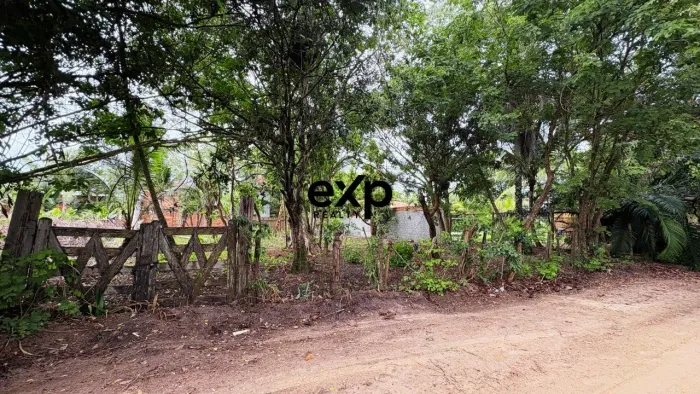 Exclusivo - lote a venda a 150m da praia em Barra Grande - Península de Maraú - Bahia!