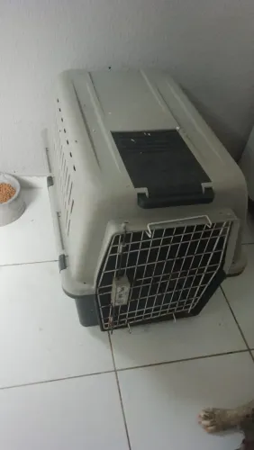 Transportador 