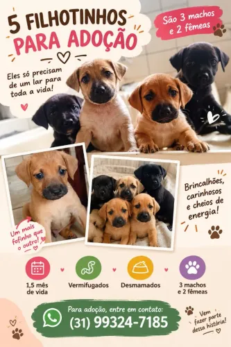 ADOTE UM FILHOTE