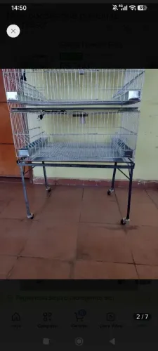 Gaiola para criar codornas/ pintinhos