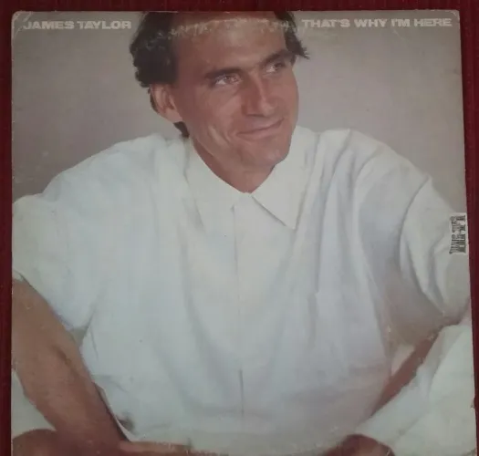 Disco de Vinil