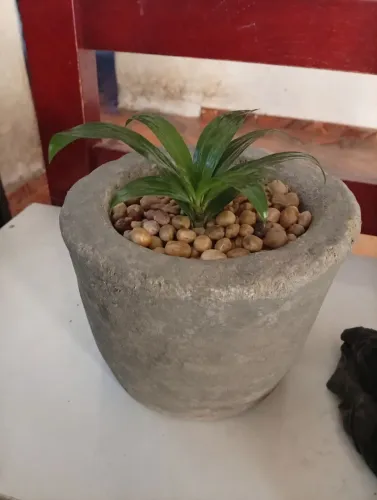 Vasos para plantas