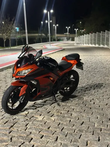 Kawasaki Ninja 300 2014