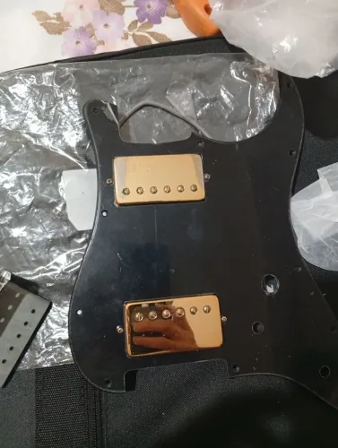 Escudo e captadores Epiphone