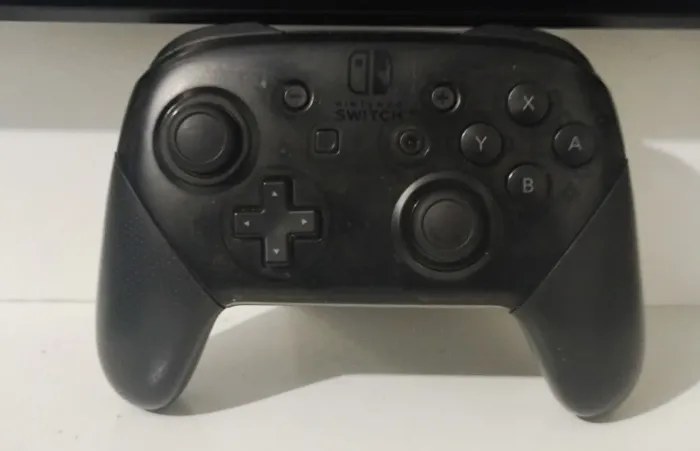 Nintendo switch pro controller