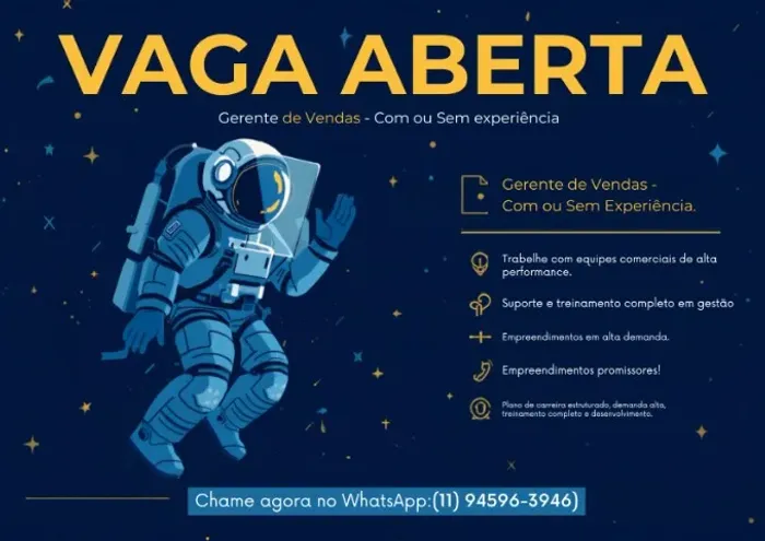 Gerente de Vendas | Com ou Sem Experiência