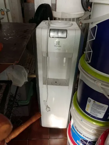 Gelagua de Coluna