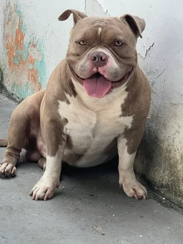 Procura-se Namorada