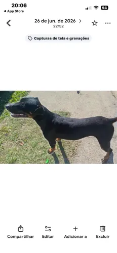 Tom para doação em Gravataí 