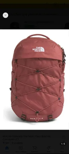 Mochila The North Face Boarealis