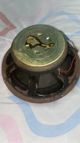 Medio de 10 polegadas