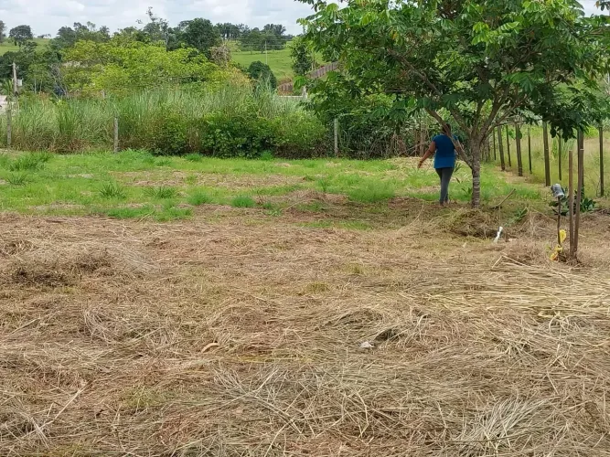 Terreno 35x20