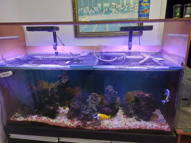 Aquário completo 450l! 