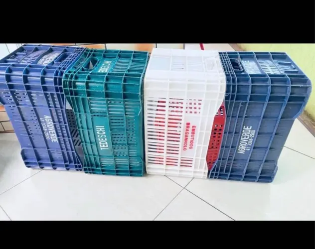 Caixas de verduras pra supermercado