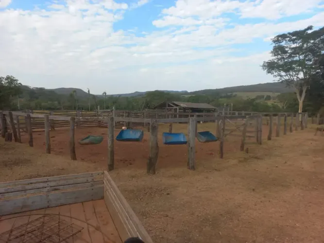 FAZENDA À VENDA 300 HECTARES  RIO VERDE/MS