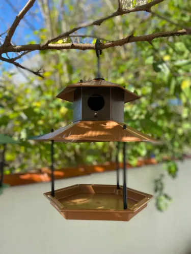 Comedouro com casinha para pássaros 