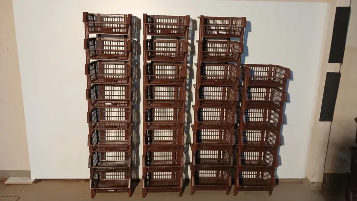 Cestas Organizadoras Plásticas
