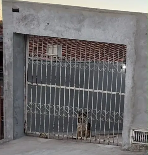 Portão