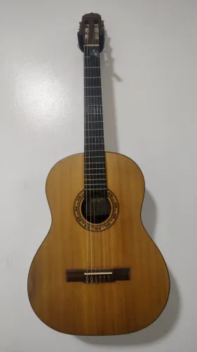 Violão Rozini RX210 Acústico Fosco em Louro Preto