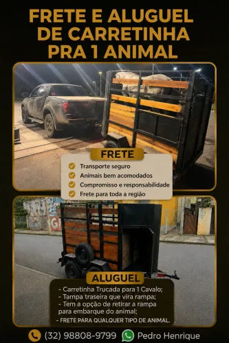 Frete e Aluguel de carretinha para 1 cavalo