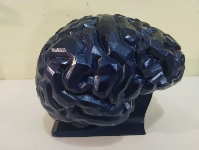 Escultura de Mesa, Cérebro Humano 20x15x15 da Grifta. Feito de Bioplástico em impressão 3D