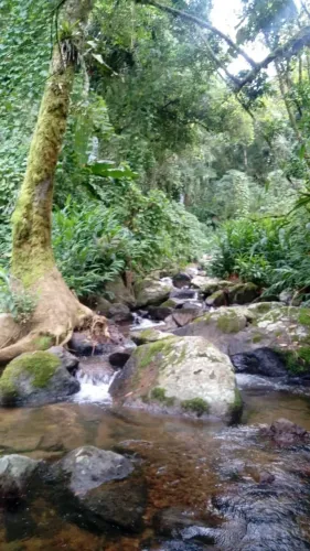 Oportunidade em Rio dos Cedros - 1.260m² com Riacho + Natureza - R$ 150 Mil