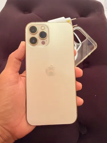 iPhone 12 Pro Max 