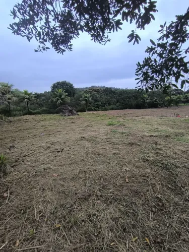 TERRENOS 10X30 TINGUÁ