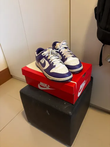 Nike Dunk Low Championship Court Purple 