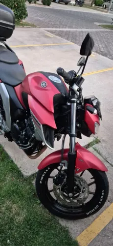 Fazer 2019 fino trato