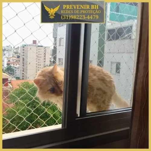 rede de proteção para gatos