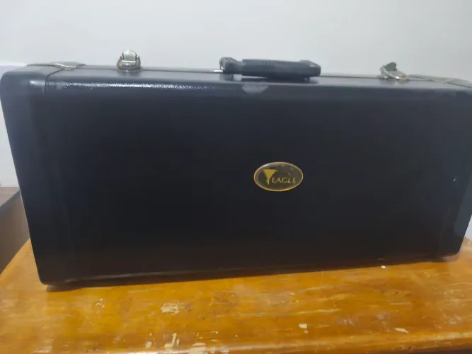 Case sax alto