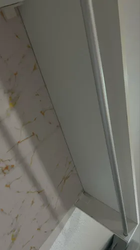 arara bem conservada