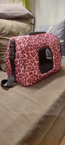 Bolsa de transporte 