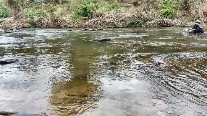 } Chácara Com Fundo P/ Rio 20.000m² Padre Bernardo GO 190 Mil .