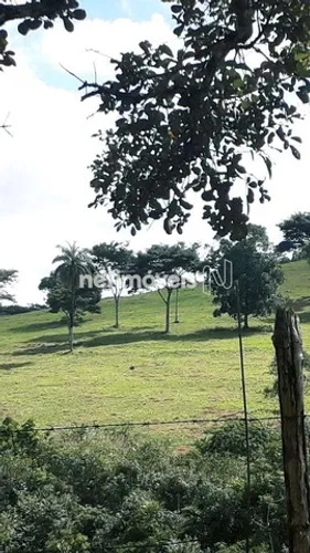 Venda Fazenda Fazenda Paciência Catas Altas