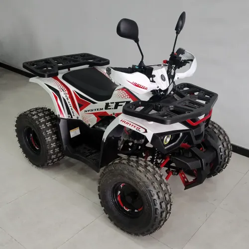 QUADRICICLO ATV 125 EFi 2025 Pronta entrega 