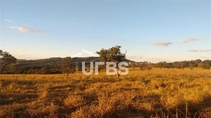 FAZENDA NO MUNICÍPIO DE VARJÃO
