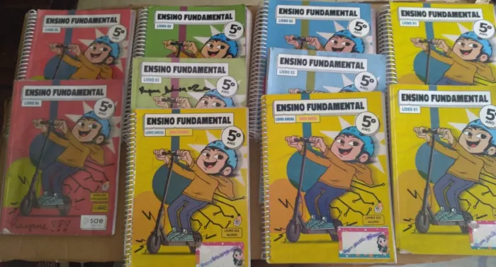 Livros 5º Ano - Ensino Fundamental - SAE